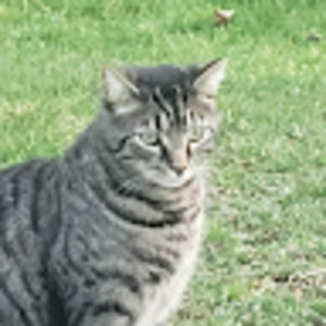 Meet your Posher, Angelo